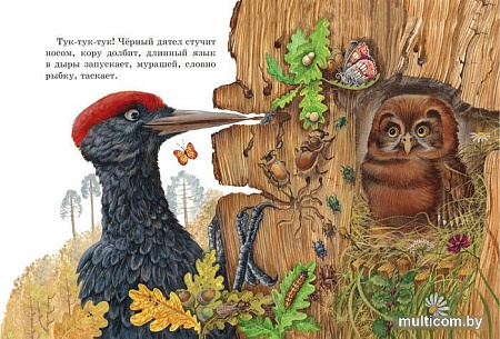 Книга издательства Эксмо. Любимые сказки и рассказы (Ушинский К.Д.)