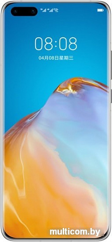 Смартфон Huawei P40 Pro+ Dual SIM 8GB/512GB (черный)