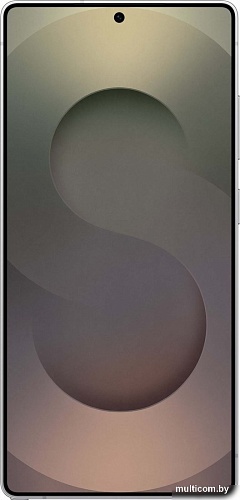 Samsung Galaxy S25 Ultra SM-S938B 12GB/256GB (серебряный титан)