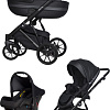 Универсальная коляска Riko Basic Delta Ecco (3 в 1, 15/black)