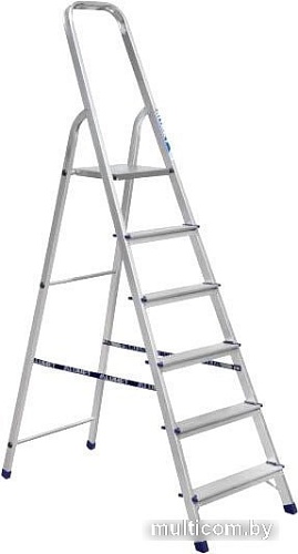 Лестница-стремянка Энкор 69653 (6 ступеней)