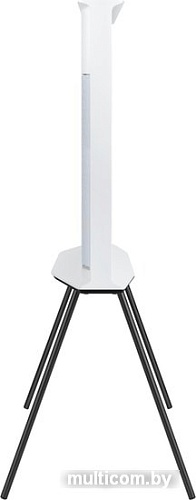 Телевизор Samsung QE49LS01TAU