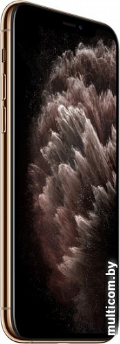 Смартфон Apple iPhone 11 Pro 256GB (золотистый)