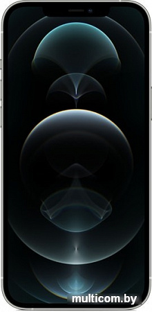 Смартфон Apple iPhone 12 Pro Max 128GB (серебристый)