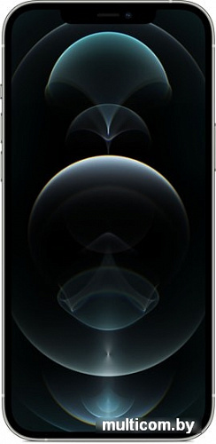 Смартфон Apple iPhone 12 Pro Max 128GB (серебристый)