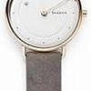 Наручные часы Skagen SKW2739