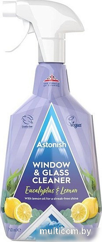 Средство для стекла и зеркал Astonish Эвкалипт и лимон 750 мл