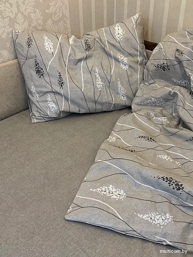 Постельное белье Блакiт Фредерик 2сп 70х70 41251/0 638202/587315 К