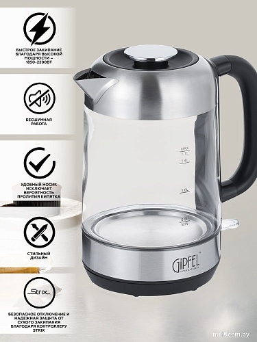 Электрический чайник Gipfel Etna 50966