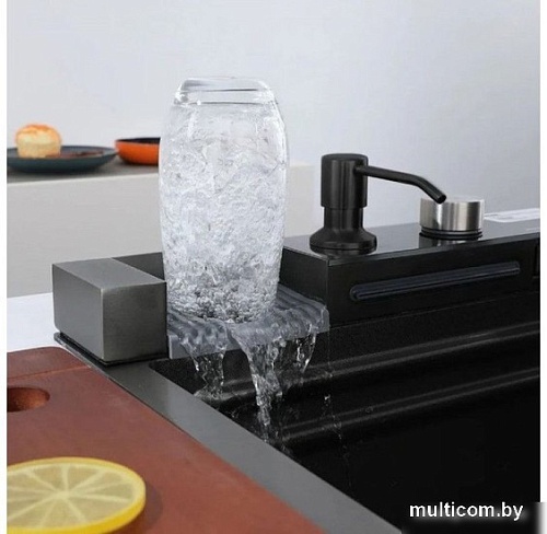 Кухонная мойка Wisent WG-37545BDF