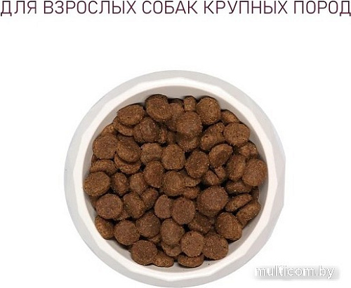 Сухой корм для собак Award Adult Large для крупных пород с курицей, индейкой с добавлением тыквы и шиповника 12 кг