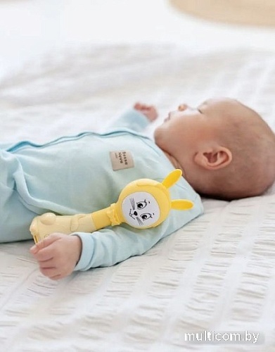 Интерактивная игрушка Bert Toys Зайчик няня 4630017723577 (желтый)