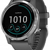 Умные часы Garmin Vivoactive 4 (серый/серебристый)