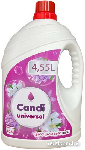 Гель для стирки Factory Ksonas Candi Universal (4.55л)