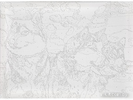 Картина по номерам MultiArt Лайки CANV30X40-MULTI47