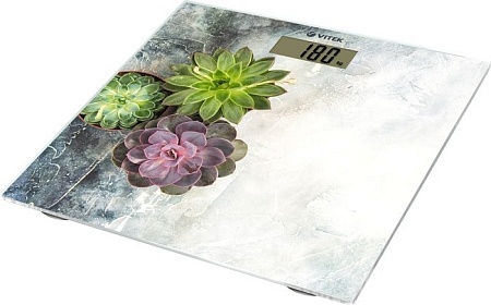 Напольные весы Vitek VT-8058