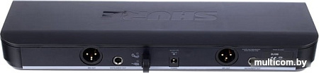 Микрофон Shure BLX288E/SM58 M17