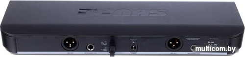 Микрофон Shure BLX288E/SM58 M17