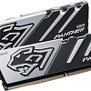 Apacer Panther 32ГБ DDR5 5200 МГц AH5U32G52C5227BAA-1