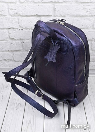 Городской рюкзак Carlo Gattini Premium Anzolla 3040-56 (индиго)