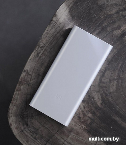Портативное зарядное устройство Xiaomi Mi Power Bank 2i 10000mAh (серебристый)