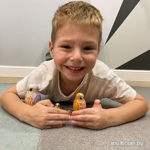 Развивающая игра Брестская Матрешка Совушки (набор 5 шт)