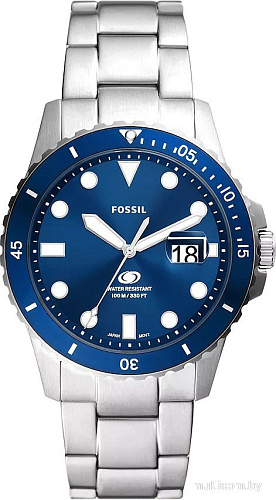 Наручные часы Fossil FS6029