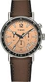 Наручные часы Timex TW2W47300