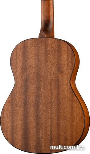 Акустическая гитара Parkwood PC90-WBAG-OP