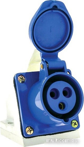 Розетка промышленная EKF 113 2Р+РЕ 16А 220В IP44 ps-113-16-220