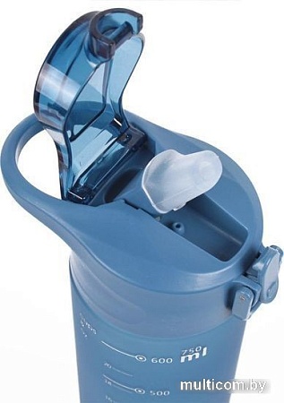 Бутылка для воды Darvish DV-H-1605-1 750мл (синий)