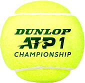 Мяч Dunlop ATP Championship (3 шт)