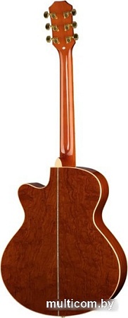 Акустическая гитара Ramis RA-C02C