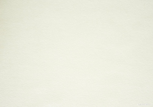 Декоративная подушка Сонум Тедди 17x50 (песочный)