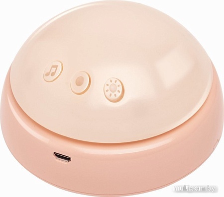 Музыкальная игрушка Hape Друг-кролик E0114