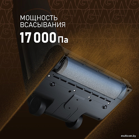 Пылесос Weissgauff V13 BLDC 200 Graphite AquaPro