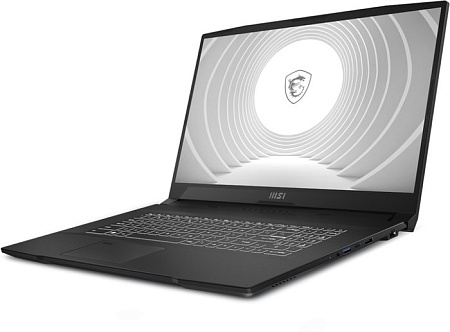 Рабочая станция MSI CreatorPro M17 A12UJS-273RU
