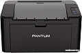 Принтер Pantum P2507