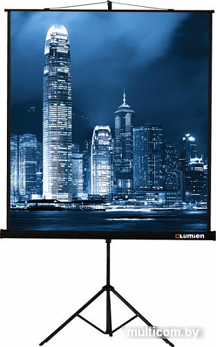 Проекционный экран Lumien Master View 127x127 (LMV-100101)