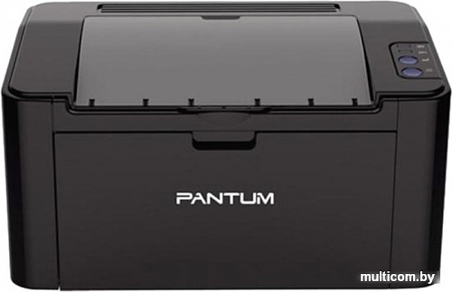 Принтер Pantum P2507