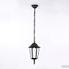 Уличный подвесной светильник Ambrella light Garden ST2029