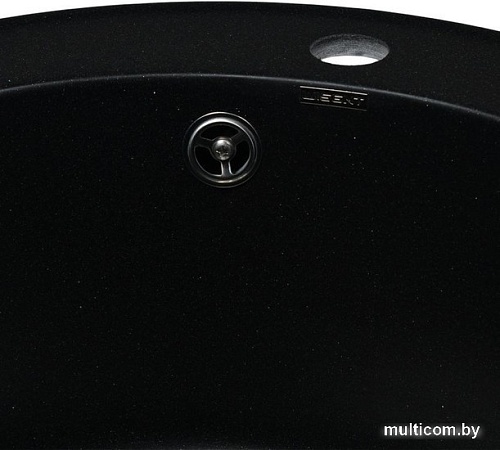 Кухонная мойка Wisent 510-25WR (с сифоном GER013)