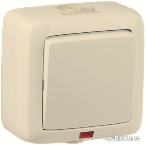 Выключатель Hegel Alfa ВА10-212-01