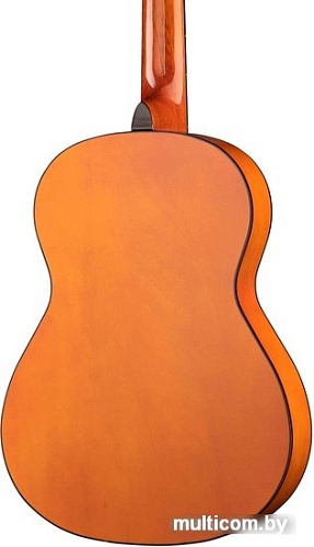 Акустическая гитара Homage LC-3600