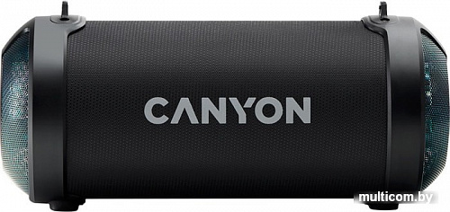 Беспроводная колонка Canyon CNE-CBTSP7