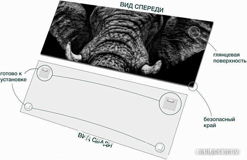 Картина на стекле Stamprint Бархатный слон AN005 (50x125)