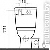 Унитаз Vitra Form 300 (9729B003-7200)