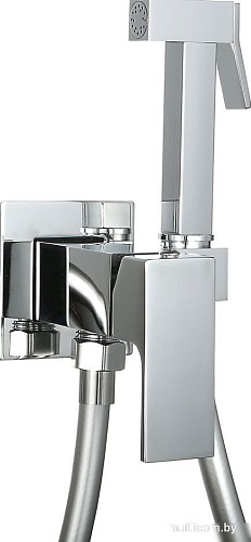 Гигиенический душ Roxen Caspia 500960-CH