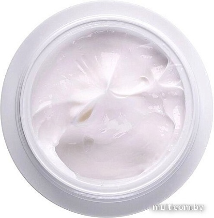 Aravia Крем для лица Laboratories регенерирующий от морщин с ретинолом Anti-Age Regen 50 мл