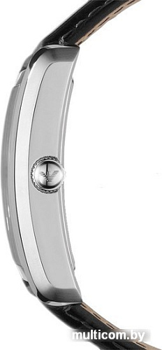 Наручные часы Emporio Armani AR1604